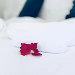 Agua Marina *
